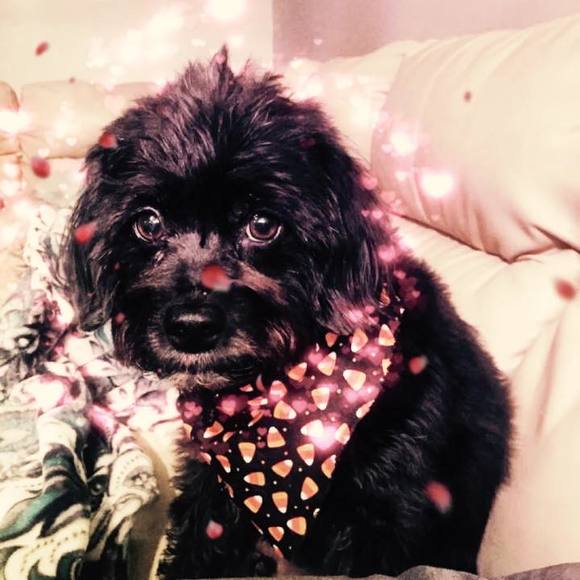 Meet your Posher, Mai-anh - Picture 1 of 1